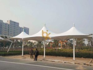 modern canopy, jakarta, membrane