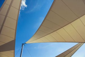 canopy, membrane, bogor