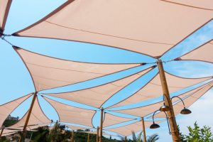 canopy, membrane, bogor