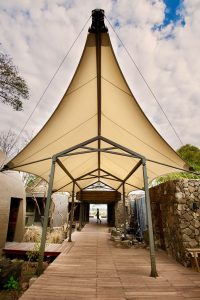 canopy, membrane, bogor