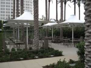 membrane canopy, rain protection, Bogor